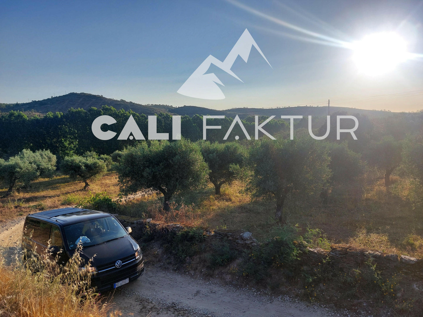 Califaktur Solarmodul für VW Multivan T5 T6 T6.1 260Wp - Califaktur.de